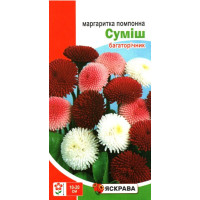 Семена маргаритки помпонной Смесь, 0,1г