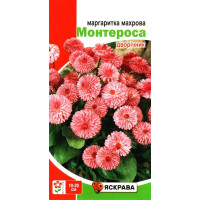 Насіння маргаритки махрової Монтероса рожева, 0,1г