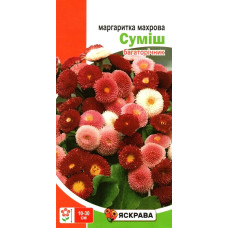 Семена маргаритки махровой Смесь, 0,1г