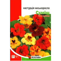 Семена настурции Низкорослая смесь, 10г