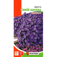Семена обриетты Синий каскад, 0,1г
