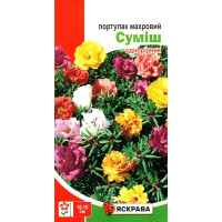 Семена портулака Махровая смесь, 0,2г