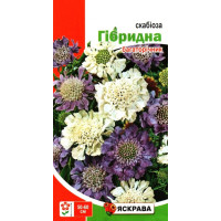 Насіння скабіози гібридної багаторічна, 0,1г