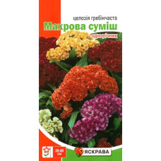 Семена целозии Гребенчатая Махрова Смесь, 0,3г