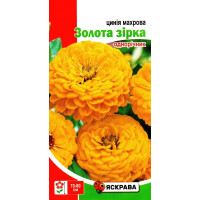 Насіння цинії Махрова Золота зірка, 0,5г