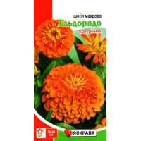 Семена цинии Махрова Эльдорадо лососевая, 0,5г