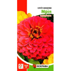 Семена цинии Махрова Мечта, 0,5г