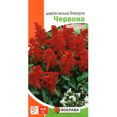 Семена шалфея блестящего Красный, 0,1г
