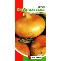 Семена лука Каратальский, 1г