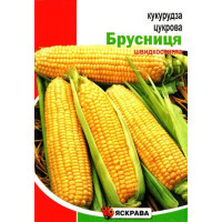 Насіння кукурудзи цукрової Брусниця, 20г