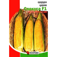 Семена кукурузы сахарной Соблазн, 20г