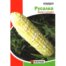 Семена кукурузы сахарной Русалка, 20г