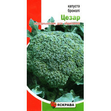 Семена капусты брокколи Цезарь, 0,5г