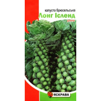 Насіння капусти брюсельської Лонг Ісленд (рання), 0,5г