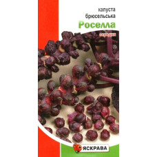 Семена капусты брюссельской Роселла (красная средняя), 0,5г