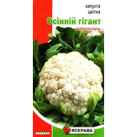Насіння капусти кольорової Осінній Гігант, 0,3г
