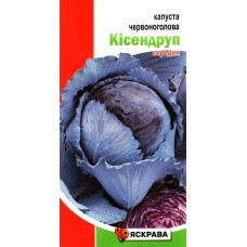 Семена капусты красноголовой Кисендруп средняя, ​​0,5г