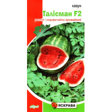 Семена арбуза Талисман F2, 1г