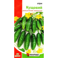 Насіння огірка бджолозапилюваного Кущовий, 1г