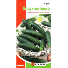 Семена огурца пчелоопыляемого Засухоустойчивый, 1г