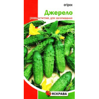 Семена огурца пчелоопыляемого Джерело, 1г