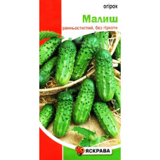Семена огурца пчелоопыляемого Малыш, 1г