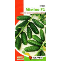 Насіння огірка самозапильного Міміно F1 / Манул, 0,3г