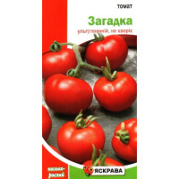 Семена томата Загадка, 0,1г