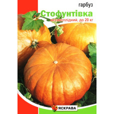 Семена тыквы Стофунтовка, 20г