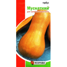 Семена тыквы Мускатный, 1г