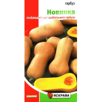 Насіння гарбуза Новинка, 2г