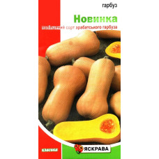Семена тыквы Новинка, 2г