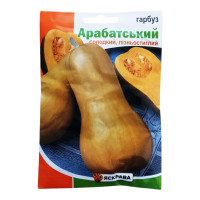 Семена посевные тыквы Арабатская, 20г