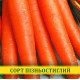 Насіння моркви Перфекція, 100г