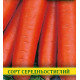 Насіння моркви Шантане, 100г