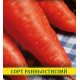 Семена моркови Шантане Ред Кор, 100г