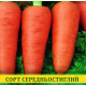 Семена моркови Шантане Сквирская, 100г