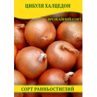 Насіння цибулі Халцедон, 100г