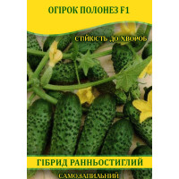 Насіння огірка Полонез F1, самозапильні, 100г