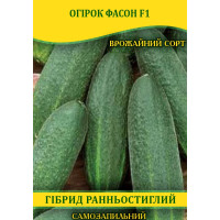 Насіння огірка Фасон F1, самозапильні, 100г