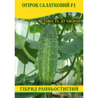 Насіння огірка Салатковий F1, самозапильні, 100г