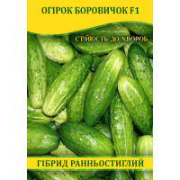Насіння огірка Боровичок F1, 100г