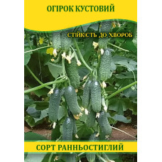 Семена огурца Кустовой, 100г