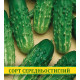 Насіння огірка Ніжинський, 100г