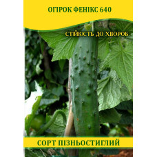 Семена огурца Феникс 640, 100г