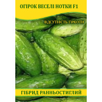 Насіння огірка Веселі Нотки F1, 100г