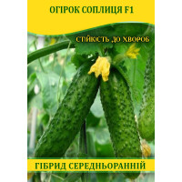 Насіння огірка Соплица F1, 100г