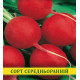 Насіння редиски Сакса, 100г
