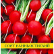 Насіння редиски Сора, 100г