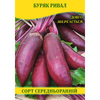 Семена свеклы столовая Ривал, 100г
